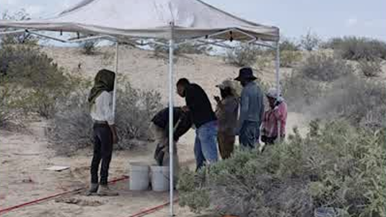 Localizan fosa clandestina en Viesca; restos coinciden con patrones de violencia