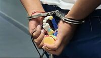 Mujer es detenida por presunta crueldad animal tras hallar muerto a un perro en Guadalajara