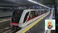 Todo lo que debes saber si quieres viajar con tu mascota en el Tren Ligero de Guadalajara. | Siteur vía Facebook