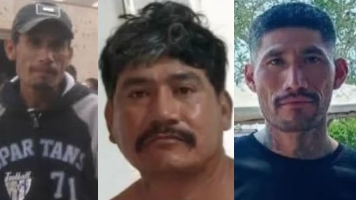 Fiscalía de Jalisco investiga desaparición de Federico, José Eduardo y Porfirio, hermanos desaparecidos en Zapopan. |