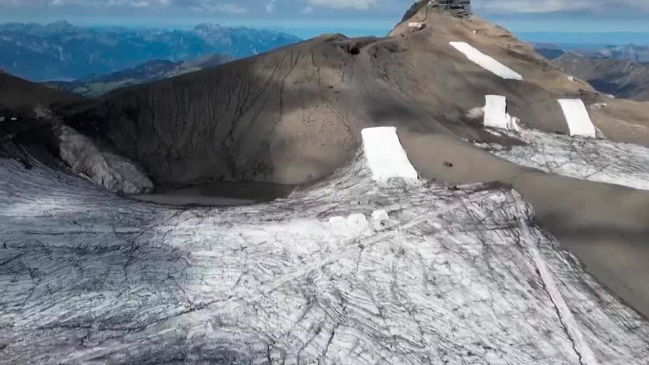 Mantas de lana de oveja: la nueva apuesta para proteger los glaciares suizos