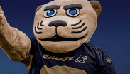 El conjunto universitario dio a conocer que los boletos para su encuentro ante León. |  @PumasMX