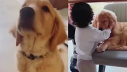 Ella era Nhala, la perrita de Jonathan Meléndez, que asesinaron junto a su familia en Atizapán