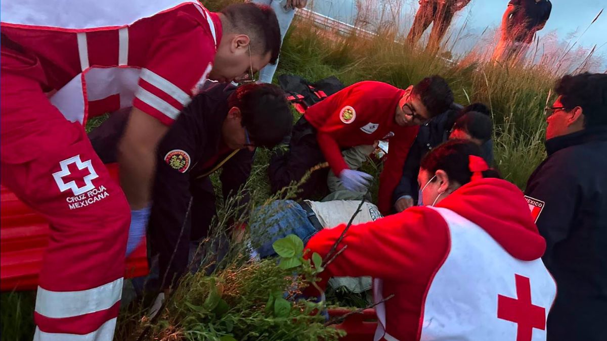 Ataque de abejas deja al menos un muerto y 11 heridos en Hidalgo.