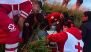 Ataque de abejas deja al menos un muerto y 11 heridos en Hidalgo.