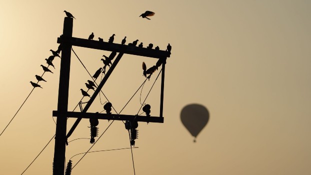 Los habitantes de la Zona Metropolitana del Valle de México planifican sus actividades de acuerdo a los reportes de contaminantes en el aire.