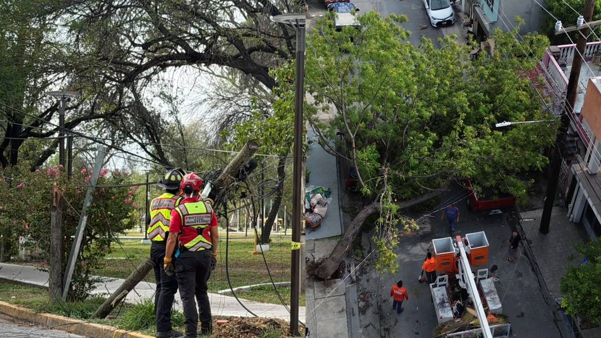 Las lluvias dejaron diversas afectaciones en el Área Metropolitana