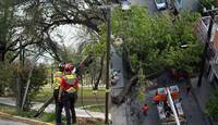 Las lluvias dejaron diversas afectaciones en el Área Metropolitana