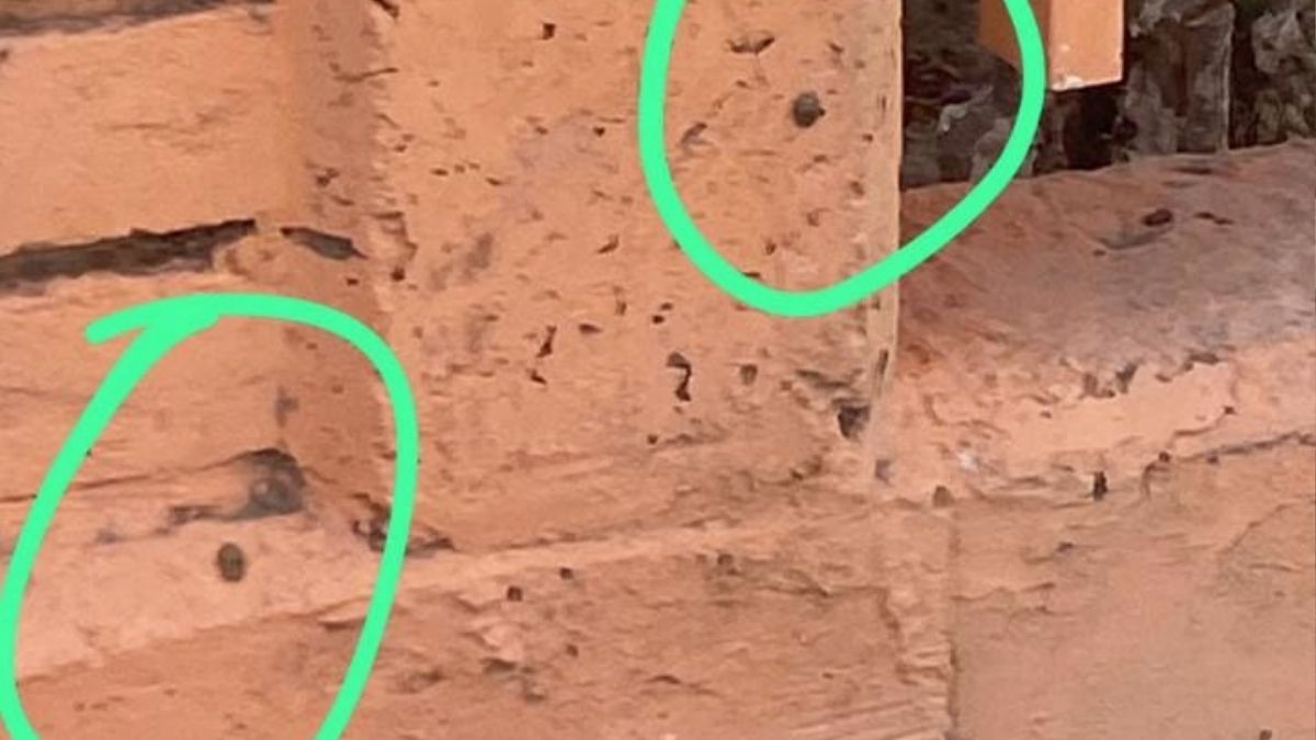 Los habitantes de la zona insisten en la importancia de fortalecer las medidas de prevención y control.