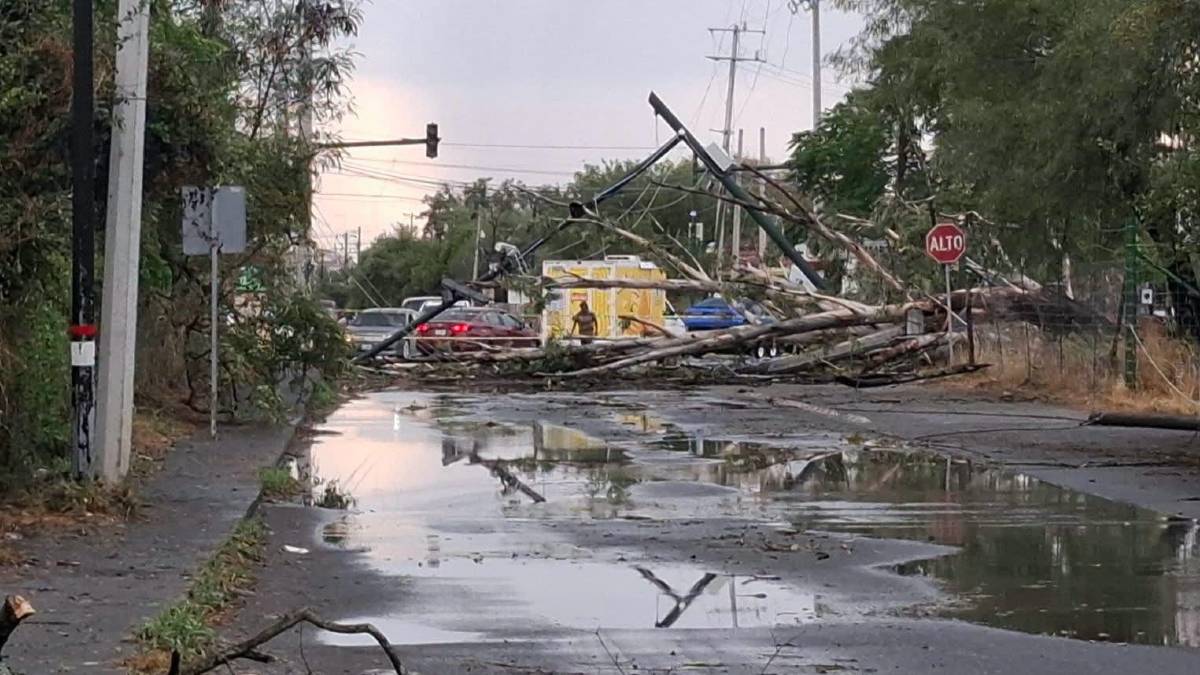 La lluvia estuvo acompañada de granizo, actividad eléctrica y fuertes ráfagas de viento