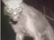 Nahuales: los misteriosos seres de la tradición mexicana