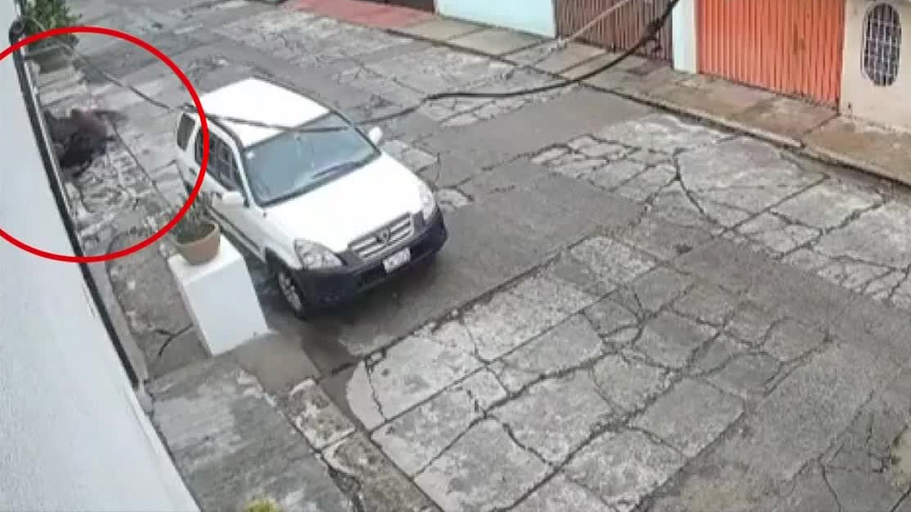 Intentan asaltar a mujer en Ciudad Azteca; vecinos intervienen para ayudarla