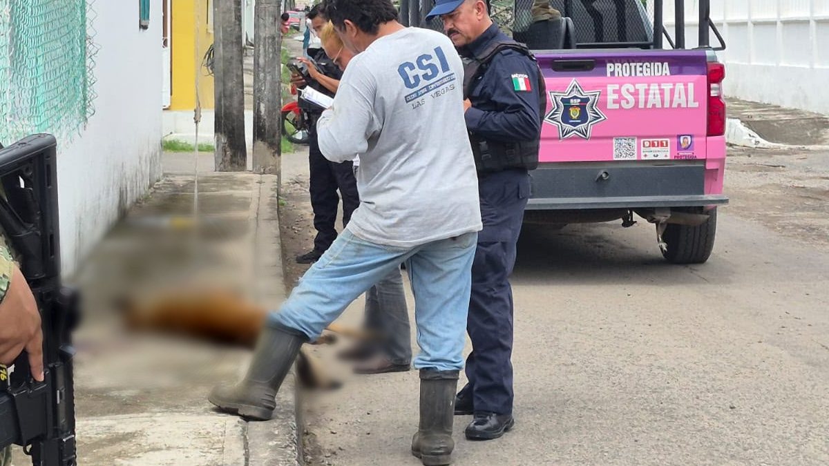 Káiser contaba con un hogar y familia, sin embargo, solía pasearse por las calles de la colonia Las Bajadas / Isabel Zamudio