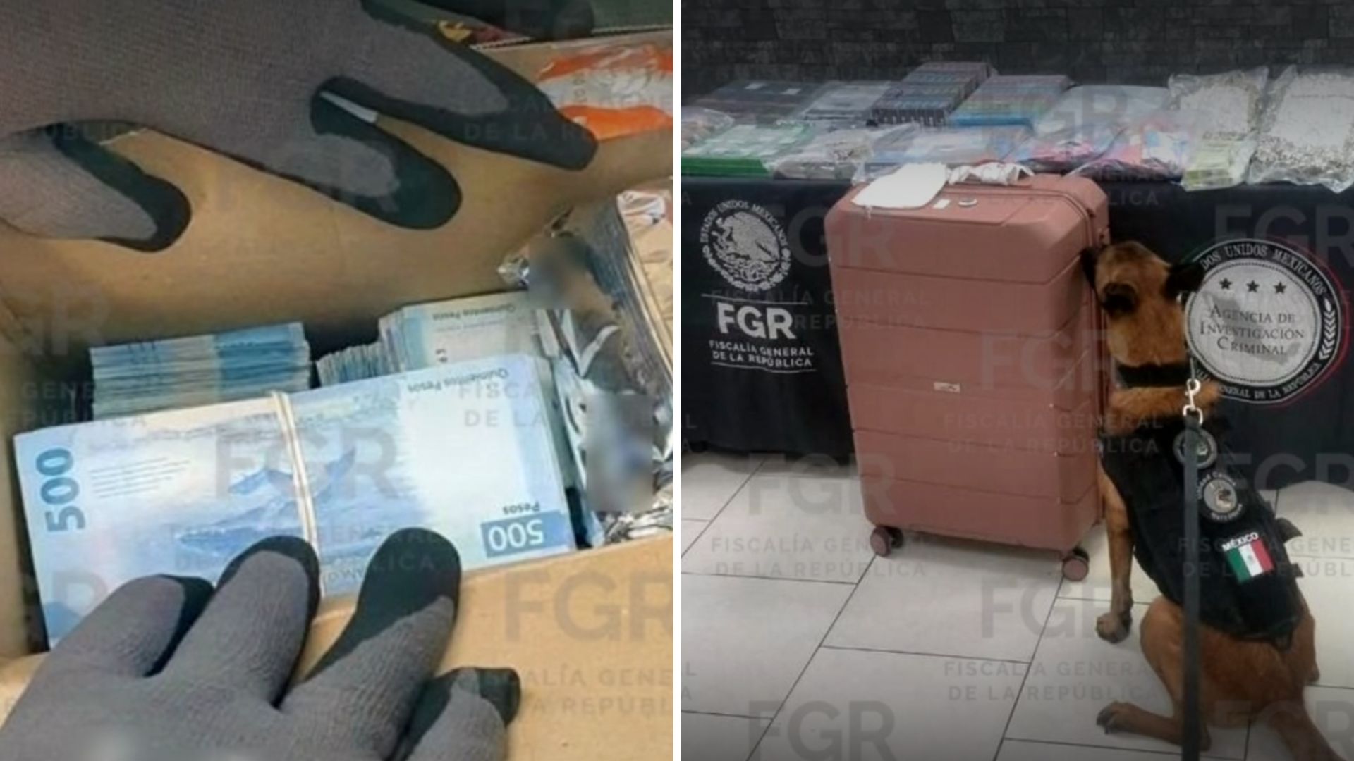 Detienen a tres mujeres y aseguran más de un millón de pesos en Nuevo León