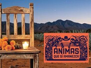 El festival de Día de Muertos se estrena con una cartelera de lujo. | Festival Ánimas