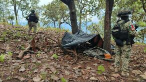 Los campamentos se encontraban en un área de difícil acceso. | Secretaría de Seguridad de Jalisco