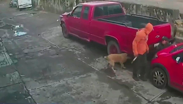 Hombre ataca con un cuchillo a mujer que paseaba a sus perros en Naucalpan