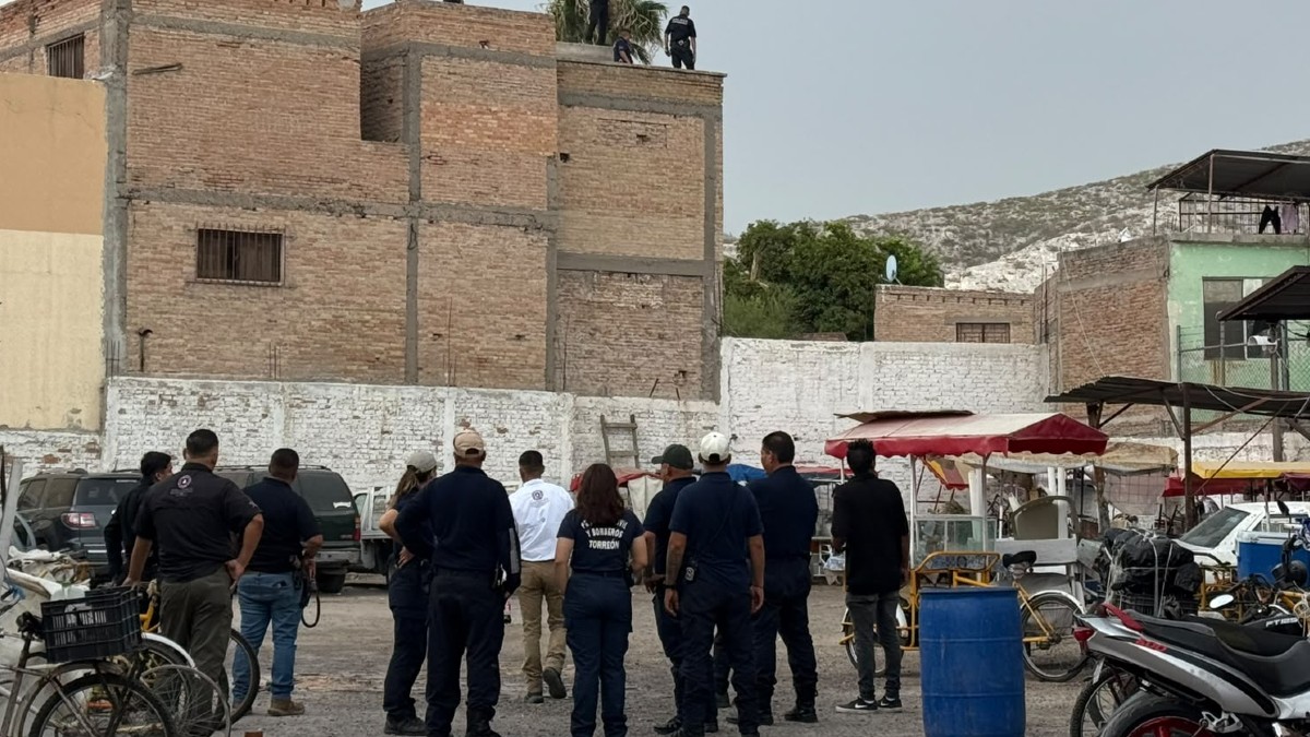 La pantera fue vista en un negocio de Torreón