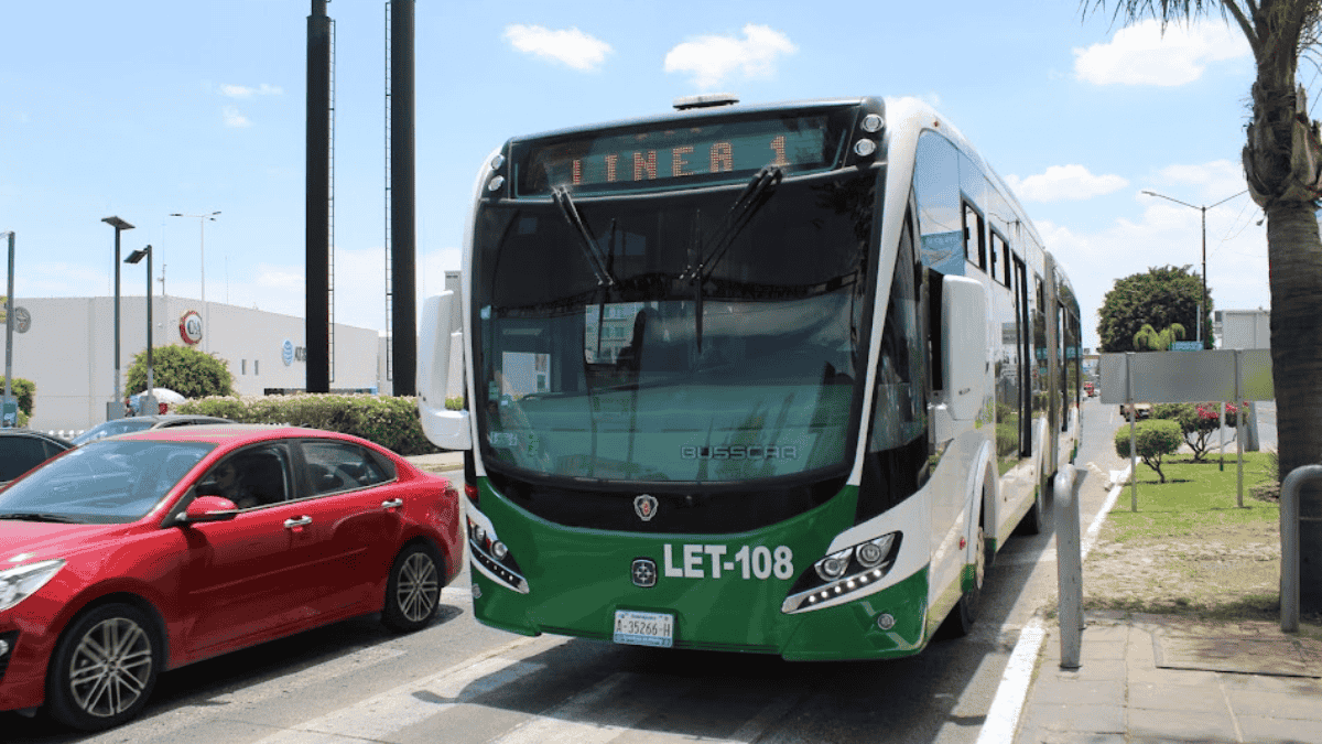 Sistema de Transporte Público de León, 'Oruga'. | Dany Béjar