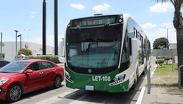 Sistema de Transporte Público de León, 'Oruga'. | Dany Béjar