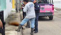 Káiser contaba con un hogar y familia, sin embargo, solía pasearse por las calles de la colonia Las Bajadas / Isabel Zamudio
