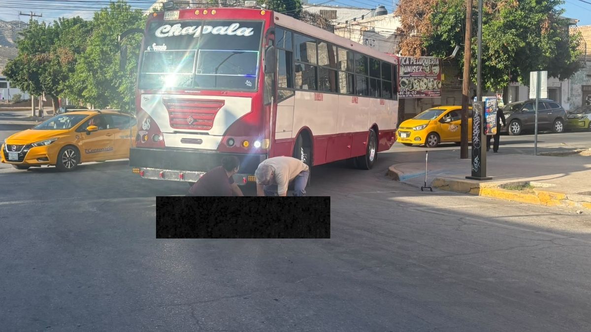 La víctima, que se desplazaba ayudándose de un bastón, fue embestida por un camión rojo de la ruta Chapala cuando la unidad dio vuelta a la izquierda.