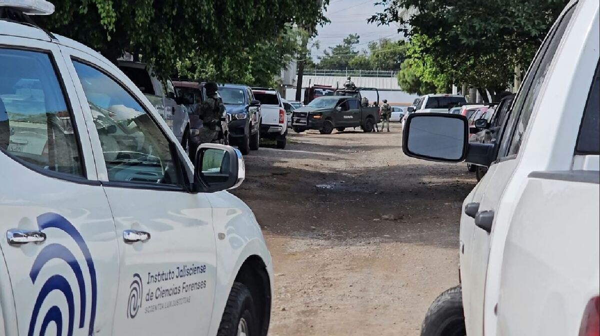 La investigación se suscito debido a una denuncia anónima.