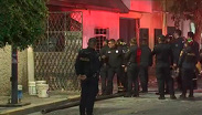 Mueren 14 perros en incendio provocado por pirotecnia en la Gustavo A. Madero