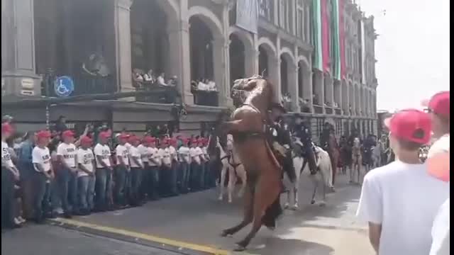 VIDEO | Policía sufre lesiones tras caerle su caballo encima durante desfile de Independencia en Cuernavaca