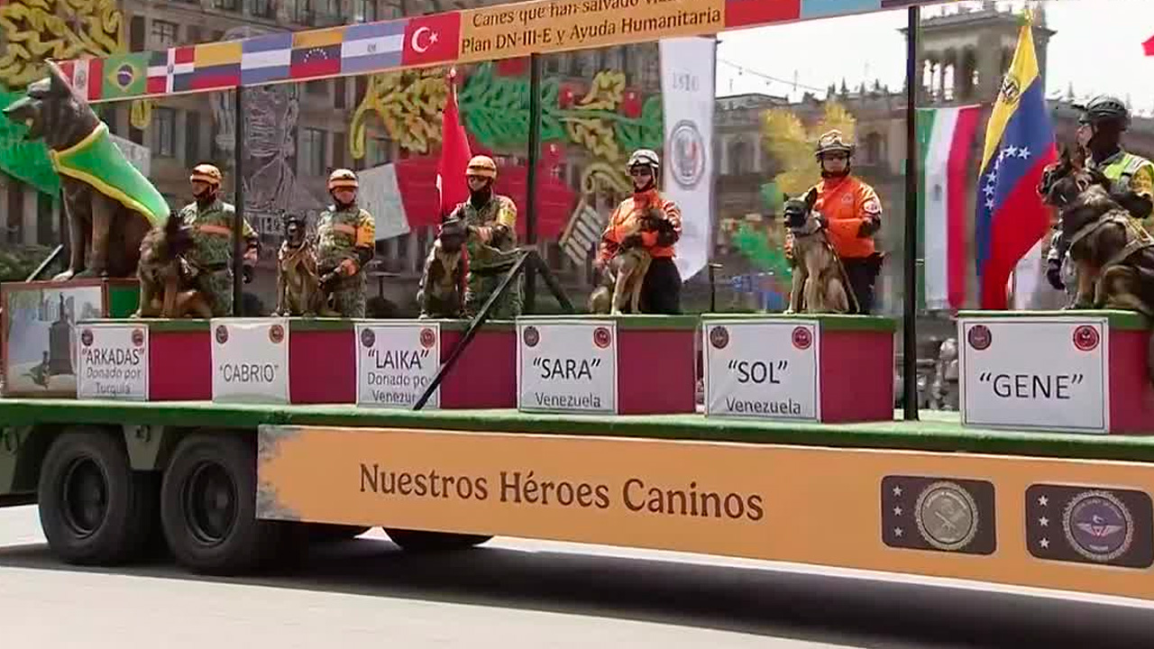 Binomios caninos reciben aplausos durante el Desfile Cívico-Militar en CdMx