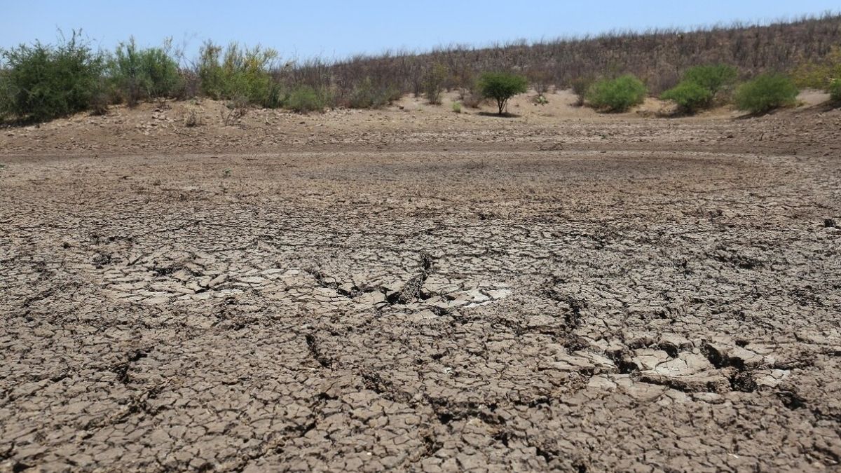 Las autoridades aclararon que el procedimiento no genera nubes artificiales, sino que acelera las precipitaciones aprovechando la nubosidad y humedad