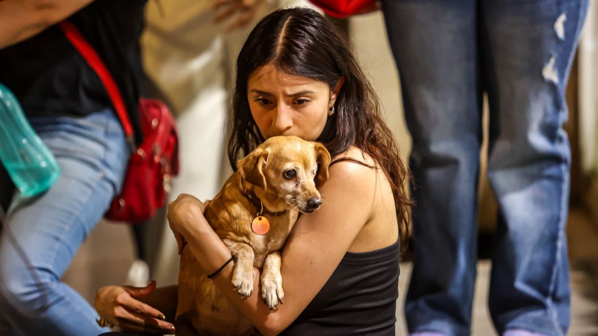De gastos imprevistos a un pago fijo: Así evoluciona la protección de las mascotas en México.