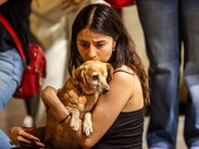 De gastos imprevistos a un pago fijo: Así evoluciona la protección de las mascotas en México.