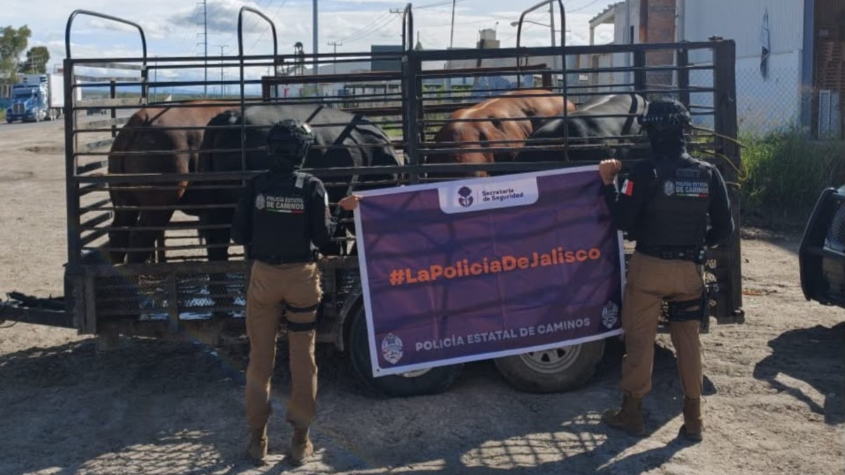 El operativo se realizó en el Libramiento Norte, en el tramo Lagos de Moreno–Encarnación de Díaz | Secretaría de Seguridad Jalisco