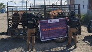 El operativo se realizó en el Libramiento Norte, en el tramo Lagos de Moreno–Encarnación de Díaz | Secretaría de Seguridad Jalisco