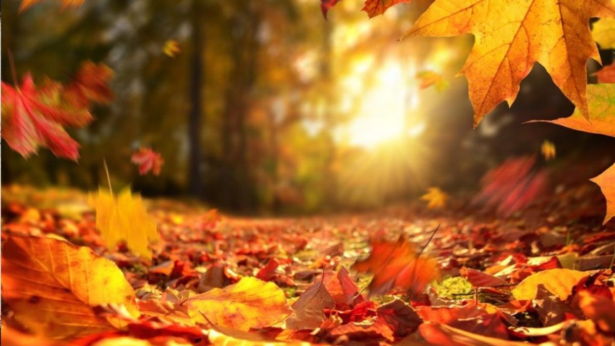 Otoño 2026 en Guadalajara: conoce la hora del equinoccio y dónde observarlo