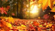 Otoño 2026 en Guadalajara: conoce la hora del equinoccio y dónde observarlo