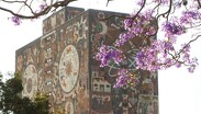 La Universidad Nacional Autónoma de México se consolidó como la mejor universidad del país.