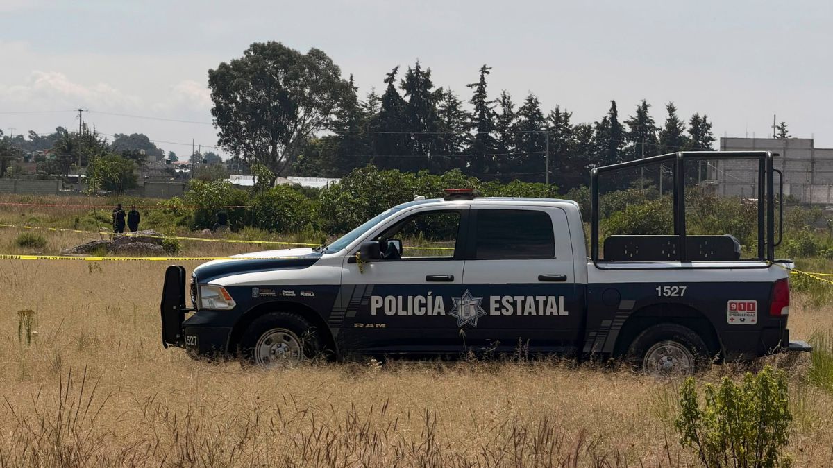 Zona del ejido de Santiago Alseseca, cerca de los límites entre Tecamachalco y Yehualtepec | Archivo