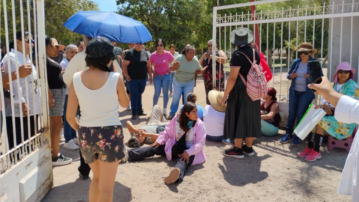 Activistas y defensores del medio ambiente protestaron contra la tala de árboles y la sustitución de áreas verdes por planchas de cemento y adoquín.