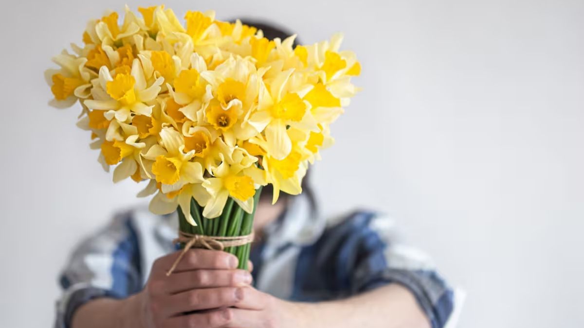 En años recientes, ha cobrado fuerza la costumbre de obsequiar flores amarillas en esta fecha.