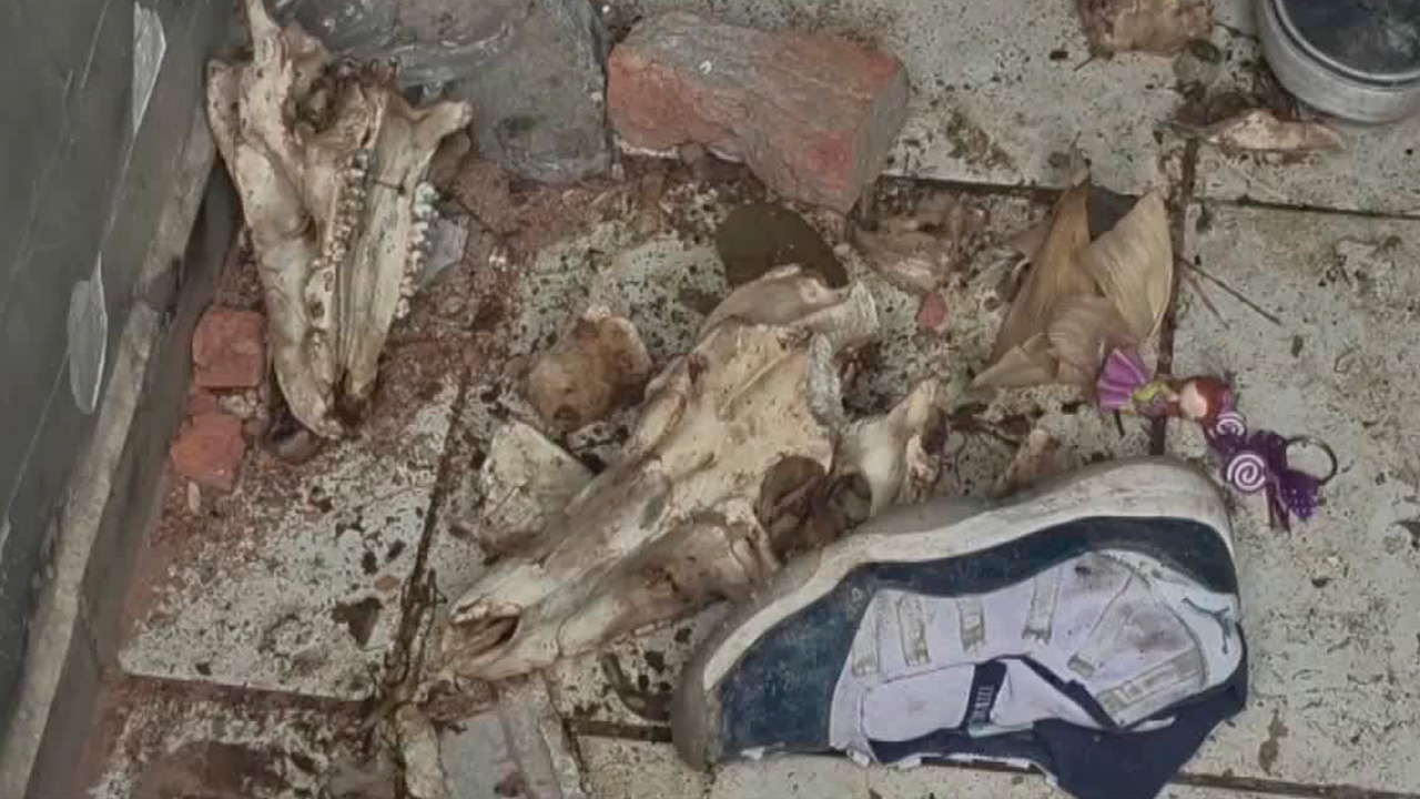 Detienen a hombre tras hallar osamentas de perros en vivienda de Aguascalientes