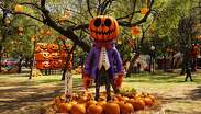 El Parque de las Calabazas abrirá sus puertas a partir del próximo 2 de octubre.