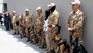 Sigue las instrucciones delas autoridades ante un evento sísmico.