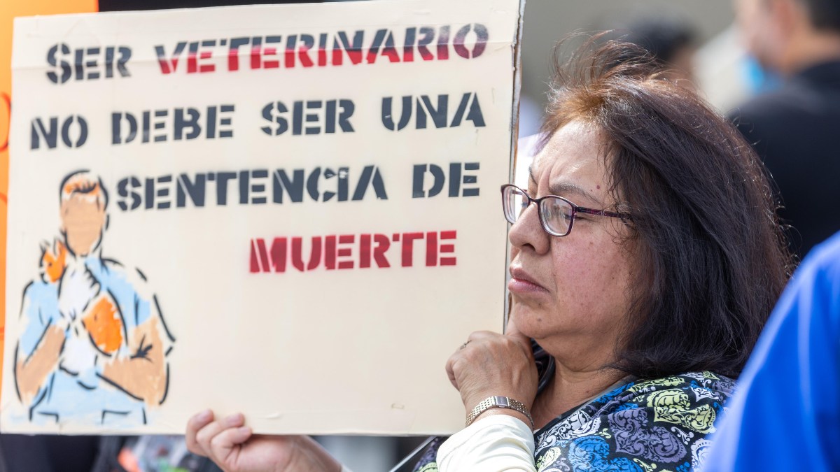Protesta de de médicos veterinarios en el marco del asesinato de su compañero veterinario Héctor Hernández en Tultepec, Estado de México |