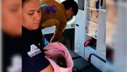 El recién nacido permanece bajo vigilancia médica.| Especial
