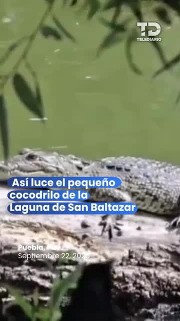¡San Baltazar tiene un nuevo vecino muy especial!