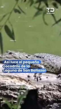 ¡San Baltazar tiene un nuevo vecino muy especial!