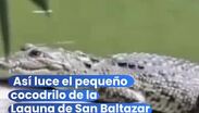 ¡San Baltazar tiene un nuevo vecino muy especial!