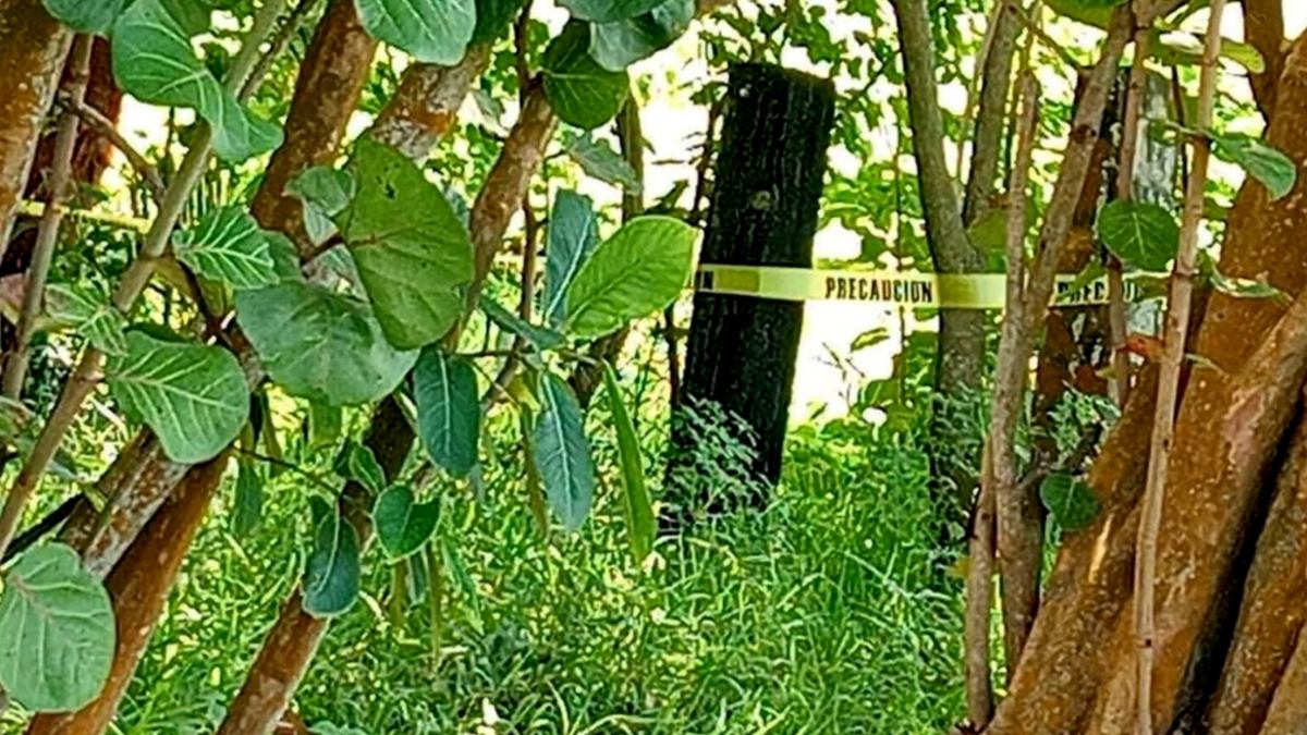 Los turistas necesitaron hospitalización, mientras que un perro más logró salvarse debido a que se encontraba suelto en el sitio / Fluvio Martínez